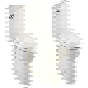 1.28 gpf Elongated One Piece Toilet in White